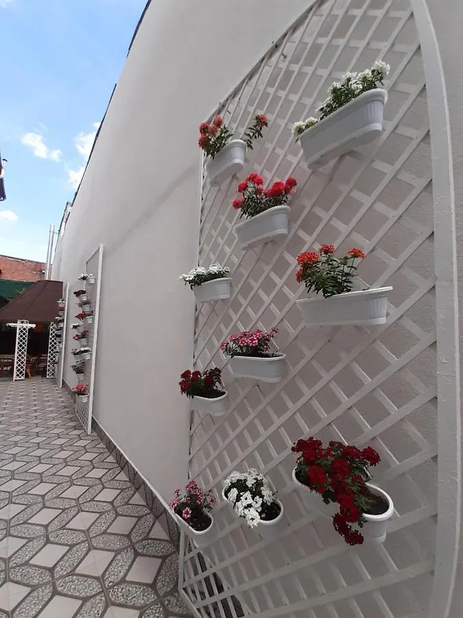 Vila Ada بوخارست رومانيا