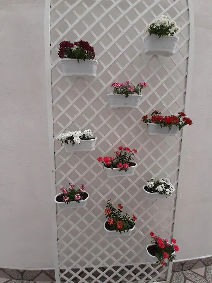 بيت ضيافة Vila Ada بوخارست